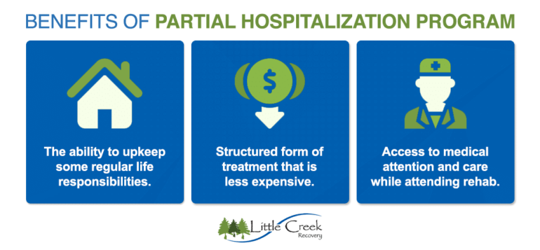 partial hospitalization 