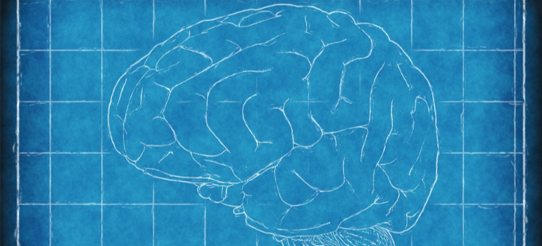 An illustration of a brain over a blue background.