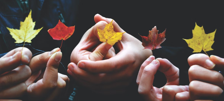 A close-up of people holding leaves, illustrating peer support in addiction treatment.