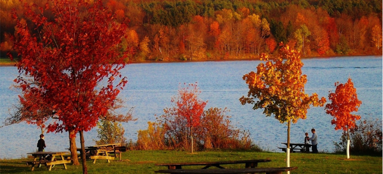 A photo of trees in autumn next to a lake.