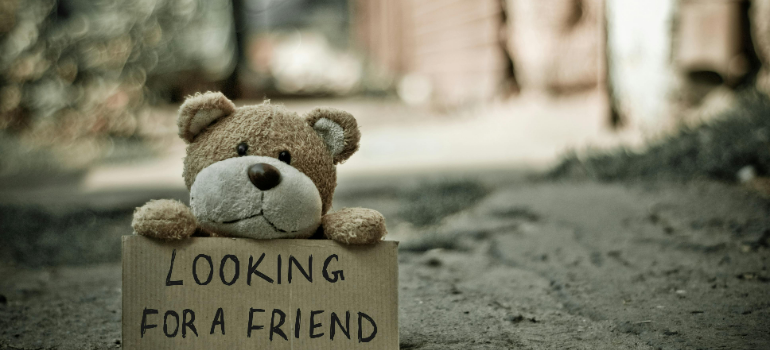 a teddy bear with a sign that says looking for a friend