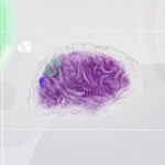 A digital illustration of a human brain with a wireframe design in purple against an abstract light background.