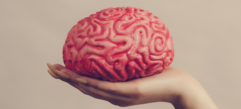 A hand holding a realistic-looking brain 
