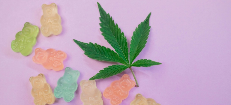 Marijuana plant and gummy bears