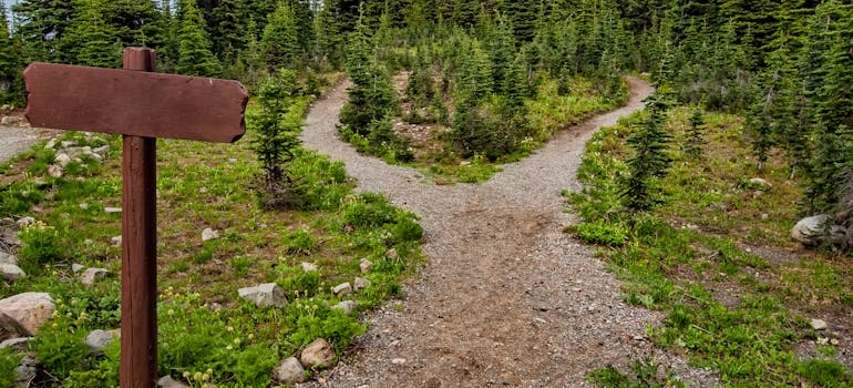 One of Pennsylvania's trails.