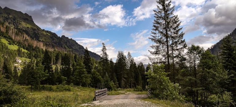 Hiking trail in the woods.