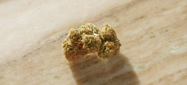 Bud of high quality cannabis.