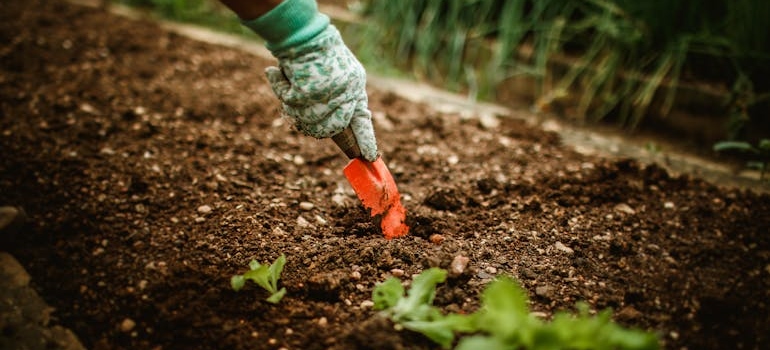 Person digging a hole in the ground while doing gardening work.