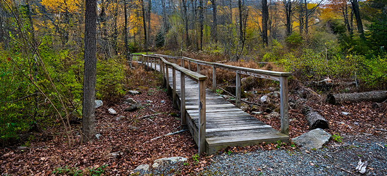 nature around alcohol rehab pennsylvania facility