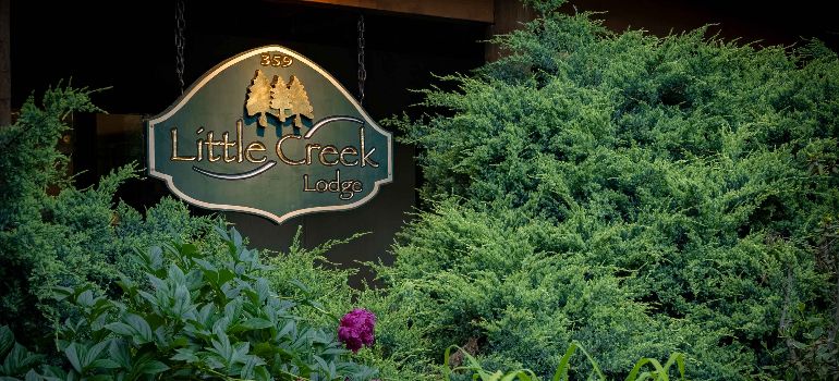 a little creek lodge sign outside the main building surrounded by greenery
